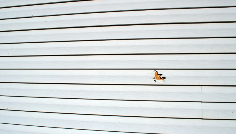 Patch and Repair Process